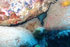 IMG_0400-.Medium