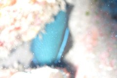 IMG_0401-.Medium
