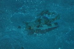 IMG_0419-.Medium