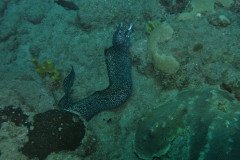 IMG_0429-.Medium