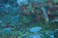 IMG_0433-.Medium