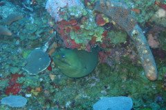 IMG_0434-.Medium