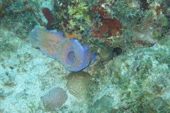 IMG_0446-.Medium