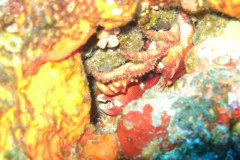 IMG_0454-.Medium