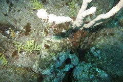 IMG_0476-.Medium