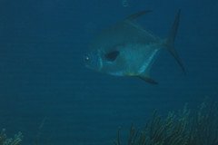 IMG_0492-.Medium