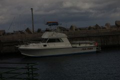 IMG_0494-.Medium