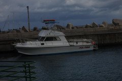 IMG_0495-.Medium