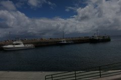 IMG_0496-.Medium