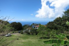 IMG_0514-.Medium