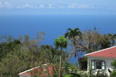 IMG_0515-.Medium