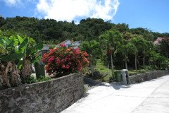 IMG_0517-.Medium