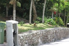 IMG_0519-.Medium
