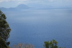 IMG_0531-.Medium