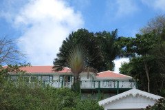 IMG_0533-.Medium