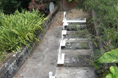 IMG_0536-.Medium