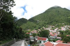 IMG_0537-.Medium