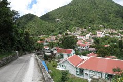 IMG_0538-.Medium