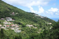 IMG_0540-.Medium