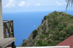 IMG_0541-.Medium