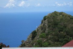 IMG_0542-.Medium