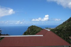 IMG_0543-.Medium