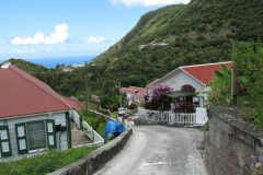 IMG_0545-.Medium
