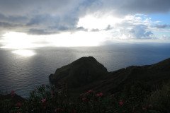 IMG_0547-.Medium