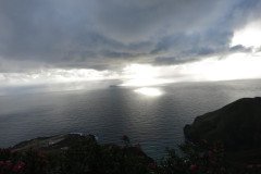 IMG_0548-.Medium