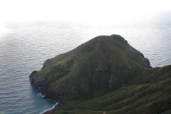 IMG_0550-.Medium