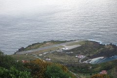 IMG_0551-.Medium