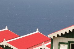 IMG_0334-.Medium
