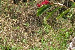 IMG_0340-.Medium