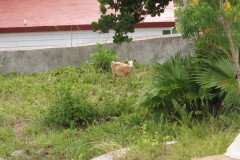 IMG_0346-.Medium