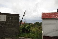 IMG_0349-.Medium