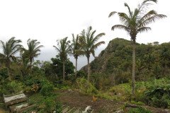 IMG_0356-.Medium