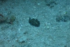 IMG_2238-.Medium