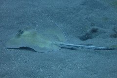 IMG_2242-.Medium