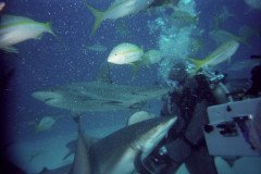 00532_n_10aeynwane0362-.Medium