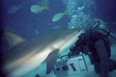 00533_n_10aeynwane0363-.Medium