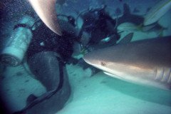 00534_n_10aeynwane0364-.Medium