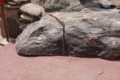 DSC00687