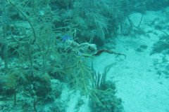 IMG_0023-.Medium