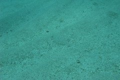 IMG_0037-.Medium