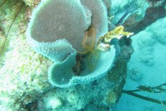 IMG_0048-.Medium