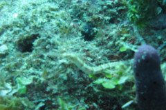 IMG_0064-.Medium