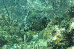 IMG_0069-.Medium
