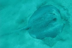 IMG_0075-.Medium