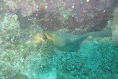 IMG_0077-.Medium