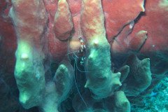 IMG_0079-.Medium